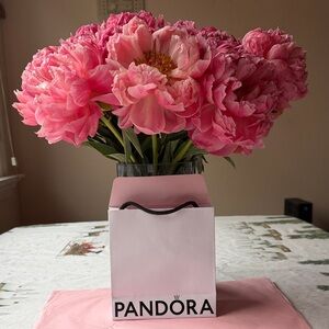 🌸 PANDORA GIFT BAG 🌸
